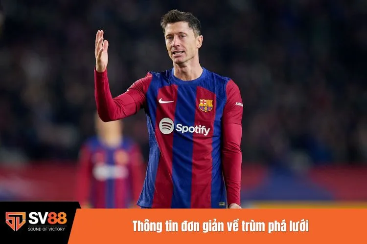 Thông tin đơn giản về trùm phá lưới