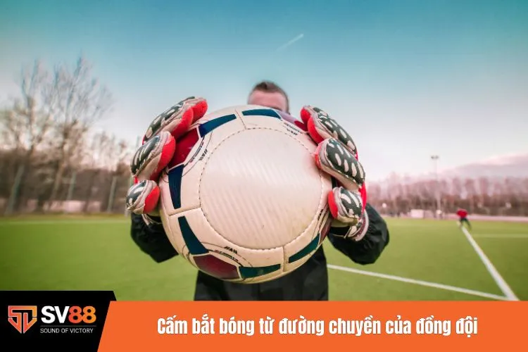Cấm bắt bóng từ đường chuyền của đồng đội