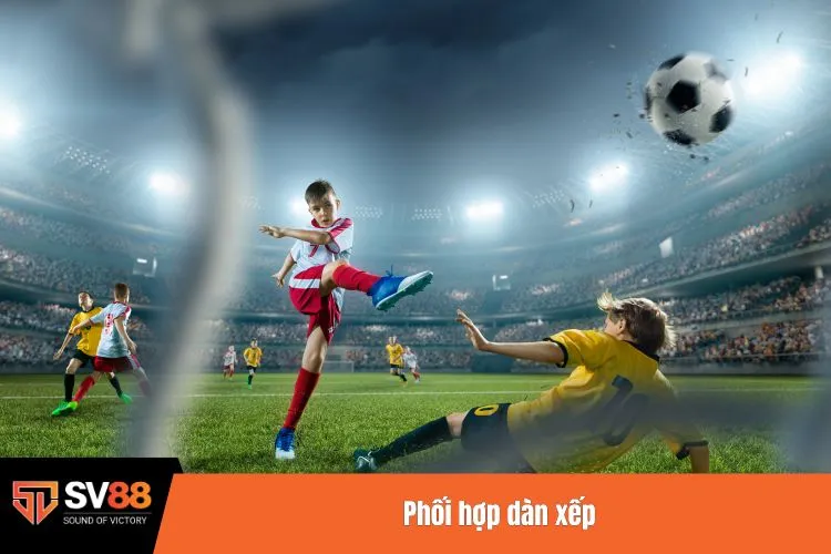 Phối hợp dàn xếp