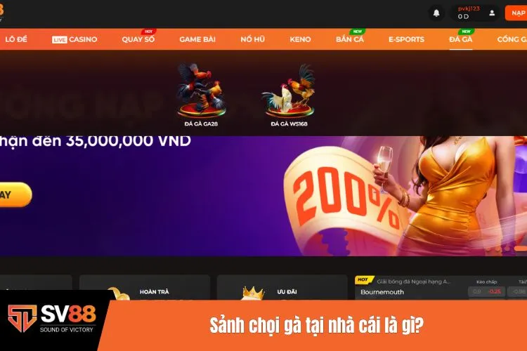 Sảnh chọi gà tại nhà cái là gì?